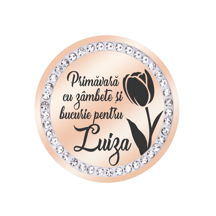 Martisor Brosa Inox Banut Pietre Nume Luiza Rose Gold