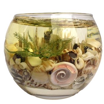 Suport pentru lumanari, material sticla, decorat cu scoici Suport pentru lumanari, material sticla, decorat cu scoici