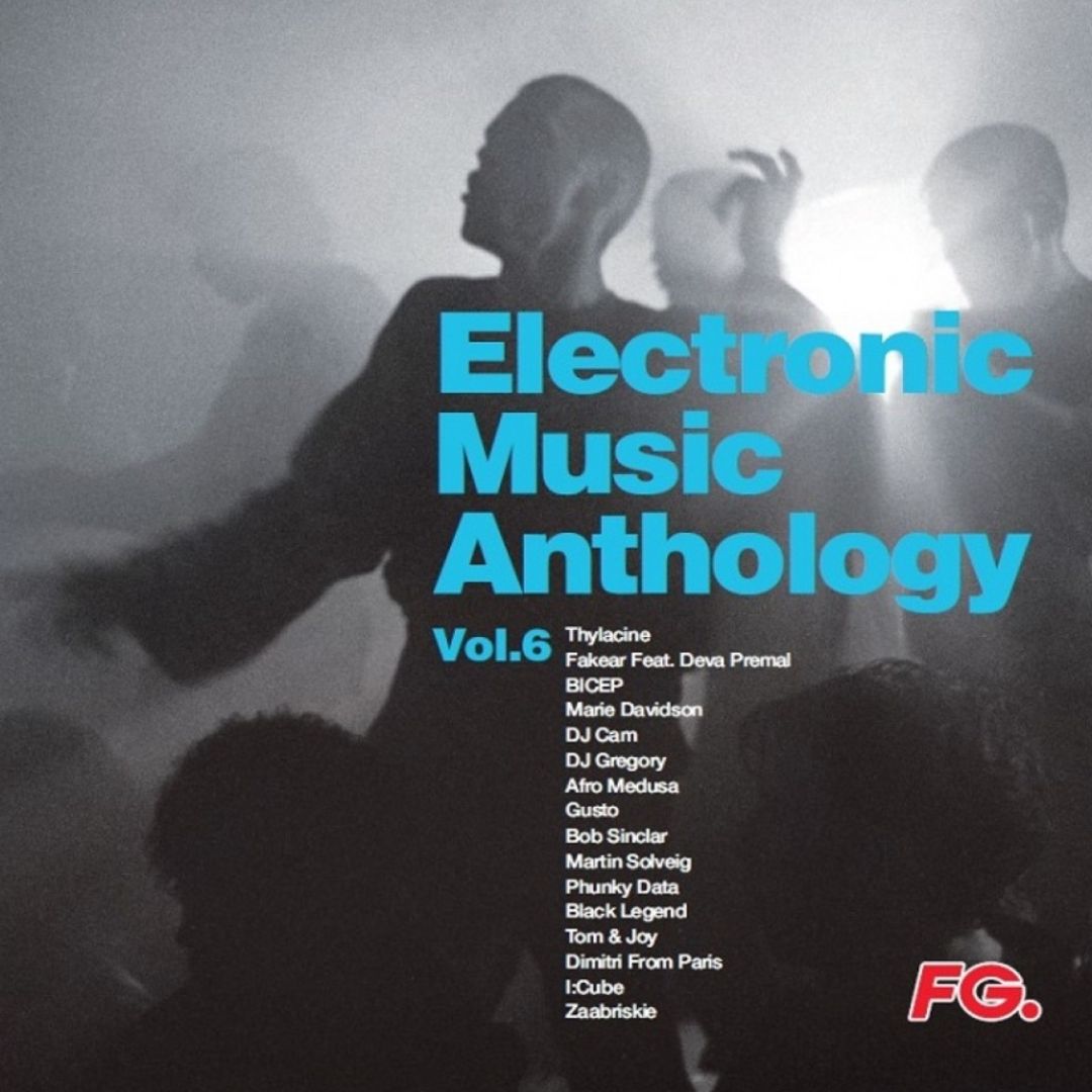 Various Artists - Electronic Music Anthology Vol. 6 - Vinyl