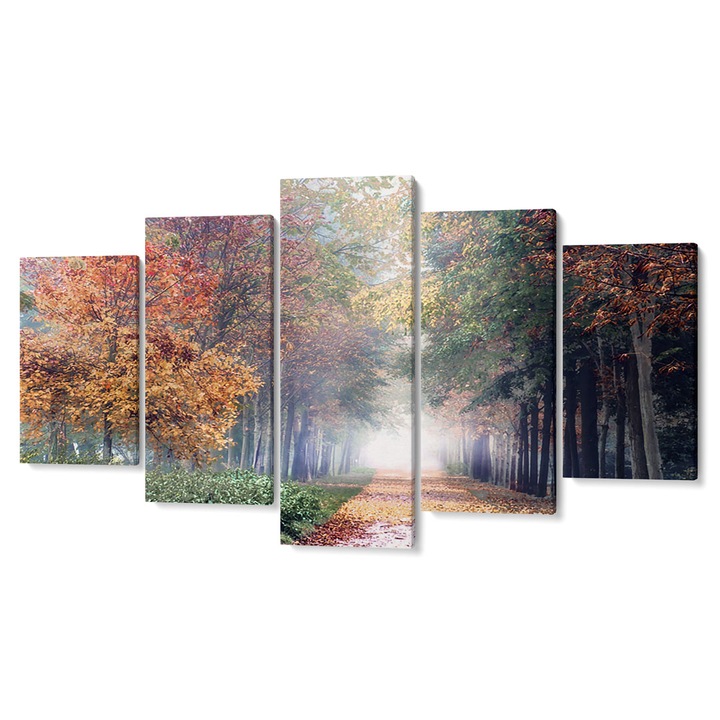Комплект от 5 Tabouri premium multicanvas декор, Пътека през есенната гора, 55 x 100 см