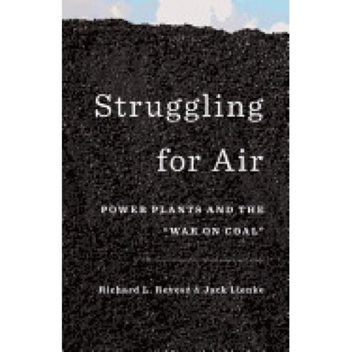 Struggling for Air: Power Plants and the "War on Coal"