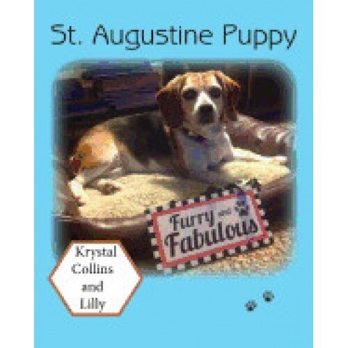 St. Augustine Puppy