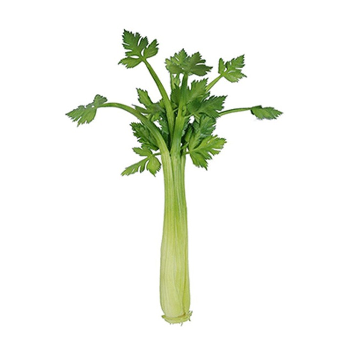 Planner, Telina decorativa figurina 39x12cm