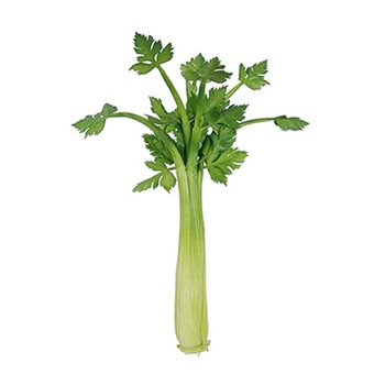 Planner, Telina decorativa figurina 39x12cm Planner, Telina decorativa figurina 39x12cm