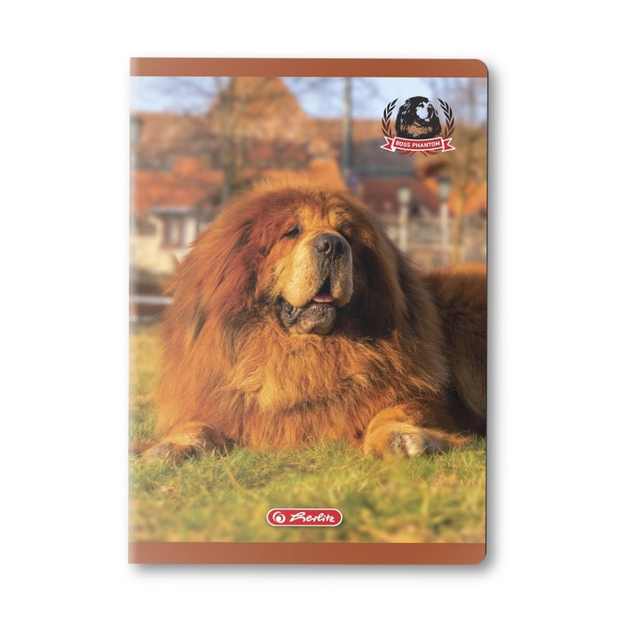 Caiet A5 48f Patratele Motiv Boss Phantom