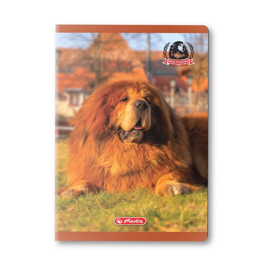 Caiet A5 48 file, matematica, Herlitz Boss Phantom