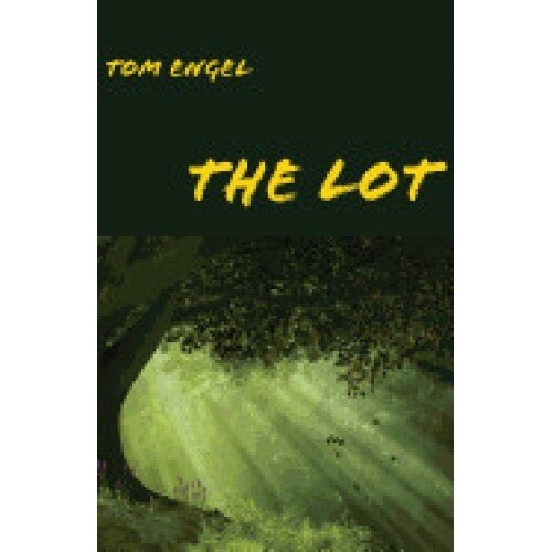 The Lot: A Teen Boy's Adventure