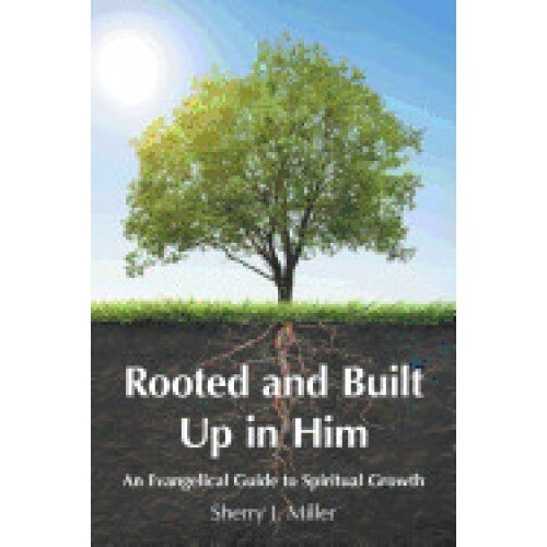 Rooted and Built Up in Him
