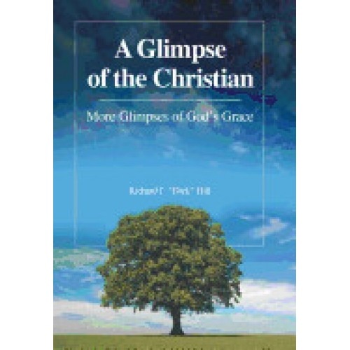 A Glimpse of the Christian: More Glimpses of God's Grace