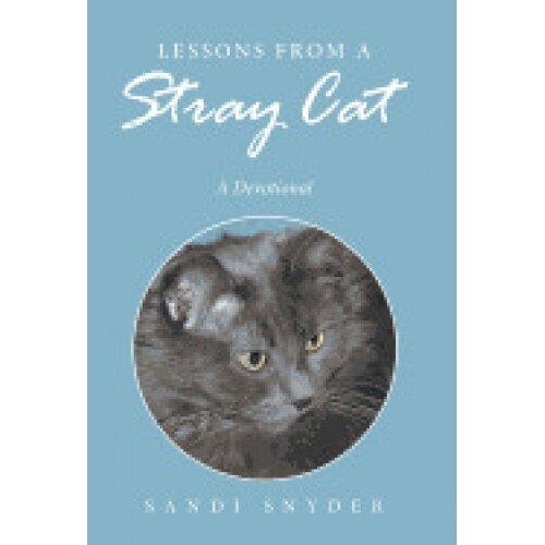 Lessons from a Stray Cat: A Devotional