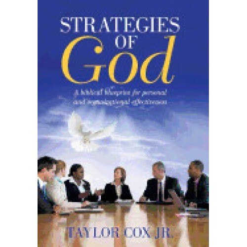 Strategies of God: A Biblical Blueprint for Personal and Organizational Effectiveness