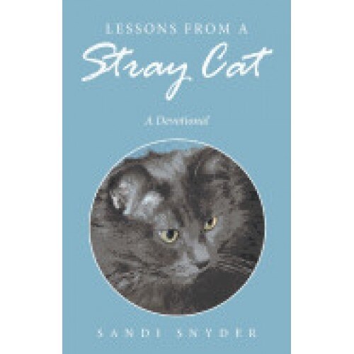Lessons from a Stray Cat: A Devotional