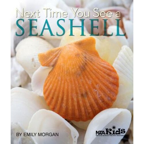 Next Time You See a Seashell, Emily R. Morgan (Author)