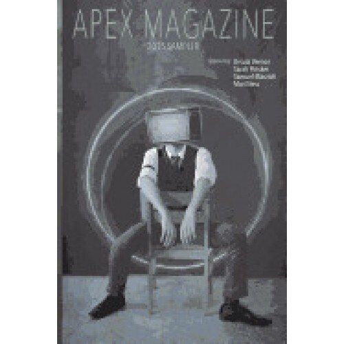 Apex Magazine 2015 Sampler