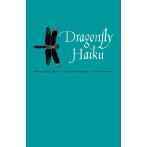 Dragonfly Haiku