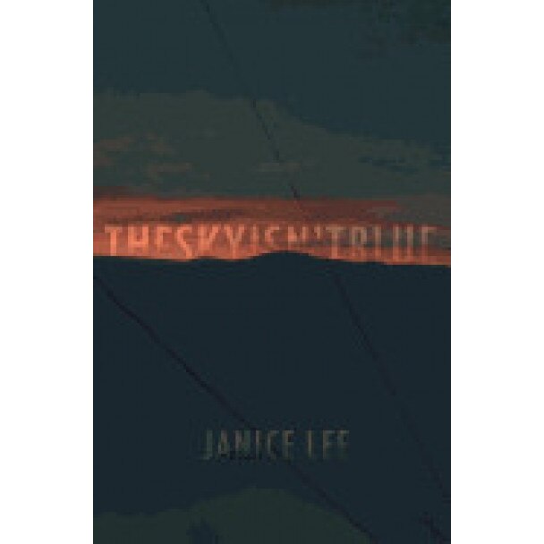 The Sky Isn't Blue, Janice Lee (Author)