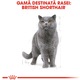 Hrana uscata pentru Pisici, Royal Canin, British shorthair Adult, 2Kg
