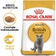 Hrana uscata pentru Pisici, Royal Canin, British shorthair Adult, 2Kg