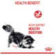 Royal Canin Digestive Comfort száraz macskaeledel, 10Kg
