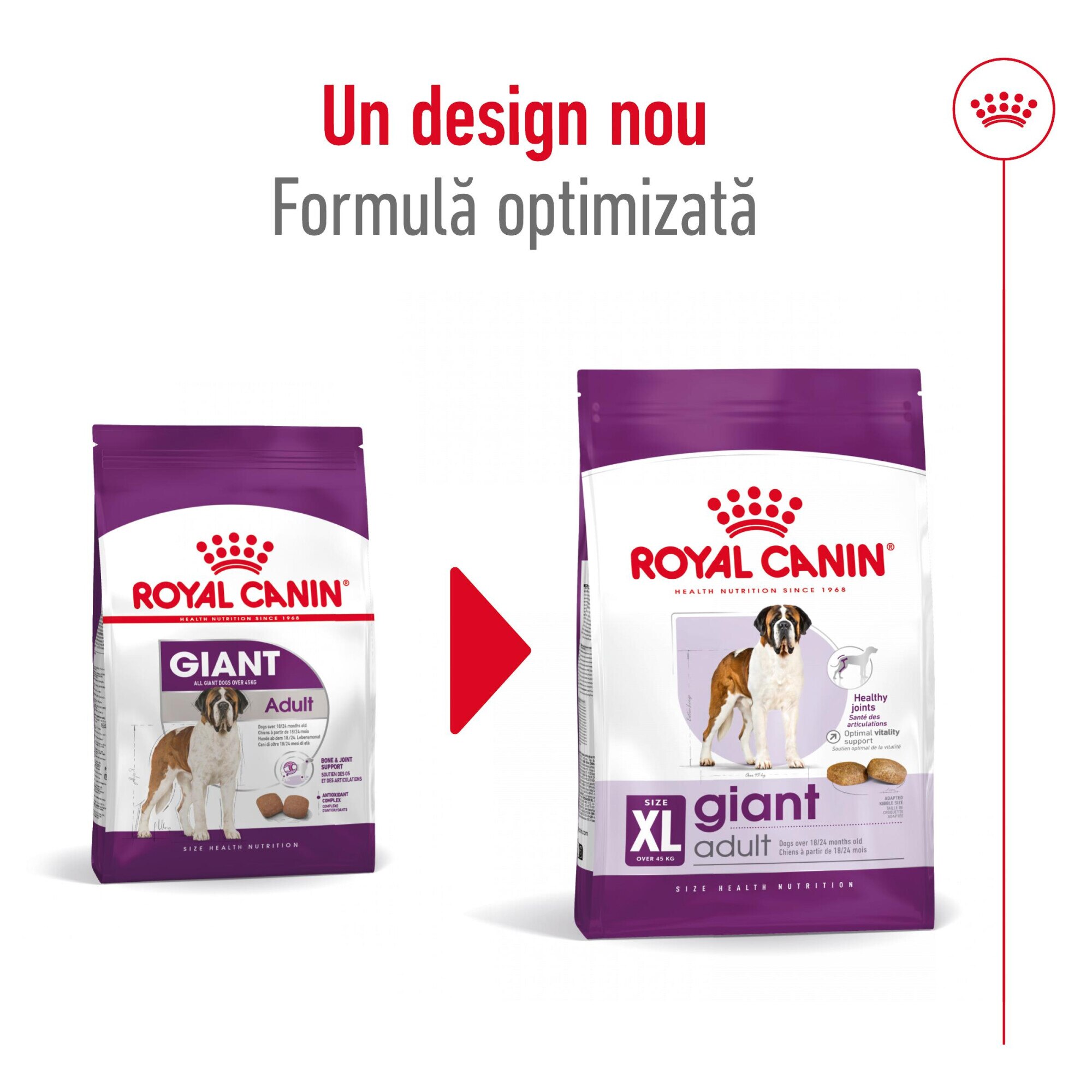  CANIN Giant Adult XL ドライフード　15Kg Royal Canin Giant Adult 15Kg - ShopMania