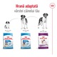 Száraz kutyaeledel Royal Canin, Giant, Felnőtt, 15kg