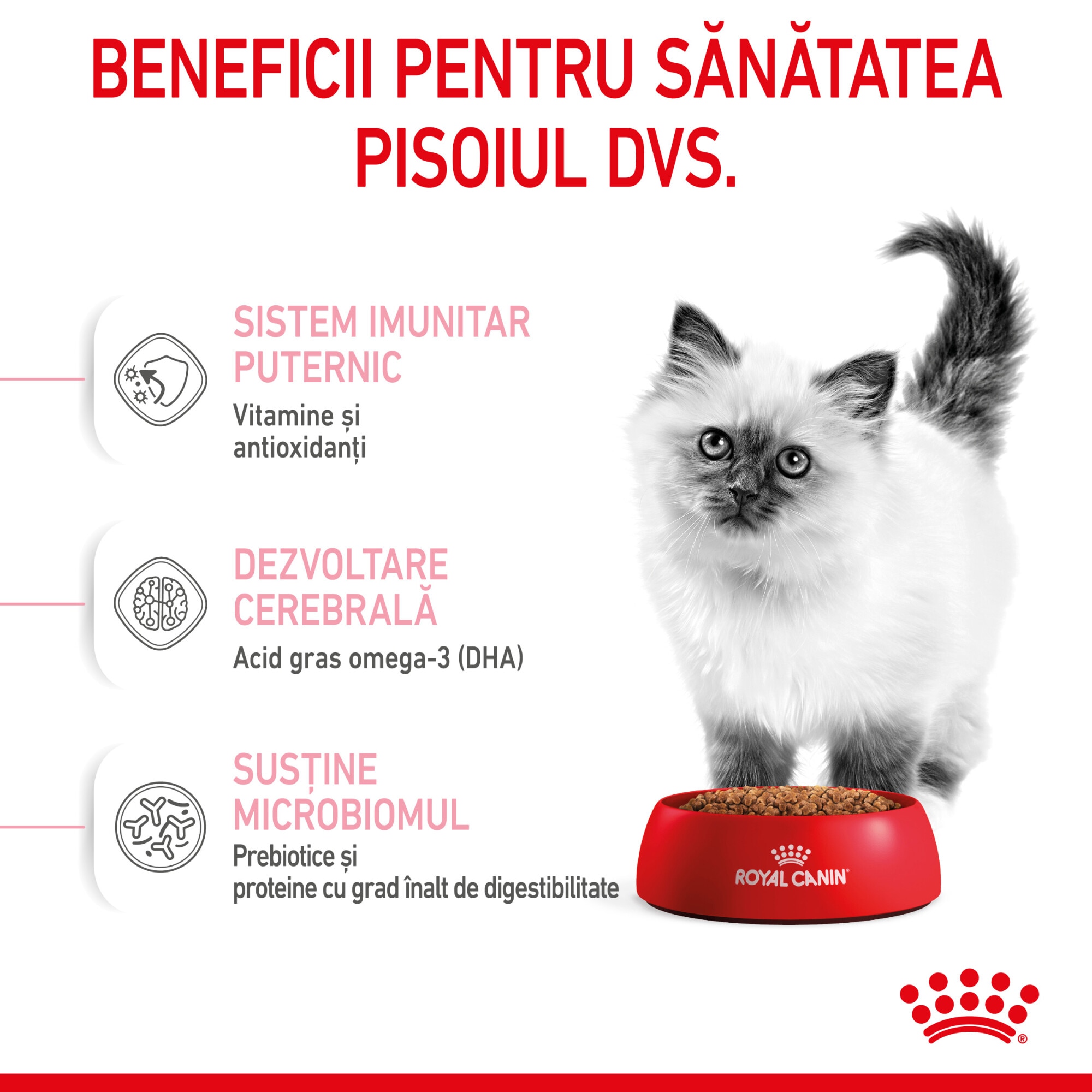 Hrana uscata pentru pisici Royal Canin, Kitten, 2Kg - eMAG.ro