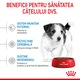 Hrana uscata pentru caini Royal Canin, Mini, Puppy, 2Kg