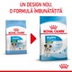 Hrana uscata pentru caini Royal Canin, Mini, Puppy, 2Kg