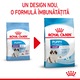 Hrana uscata pentru caini Royal Canin, Giant, Puppy, 1Kg