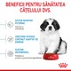 Hrana uscata pentru caini Royal Canin, Giant, Puppy, 1Kg