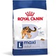 Royal Canin Maxi Adult száraz kutyaeledel, 10 kg