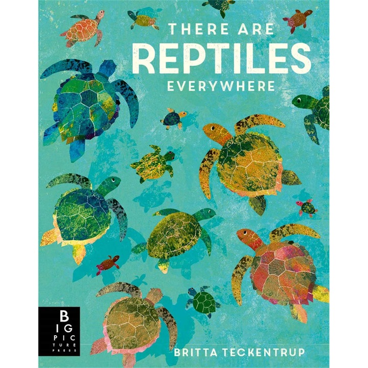 There are Reptiles Everywhere - Camilla De La Bedoyere