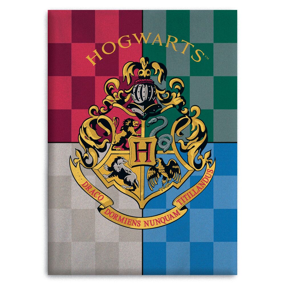 Patura Harry Potter Hogwarts, 100x140cm, polar