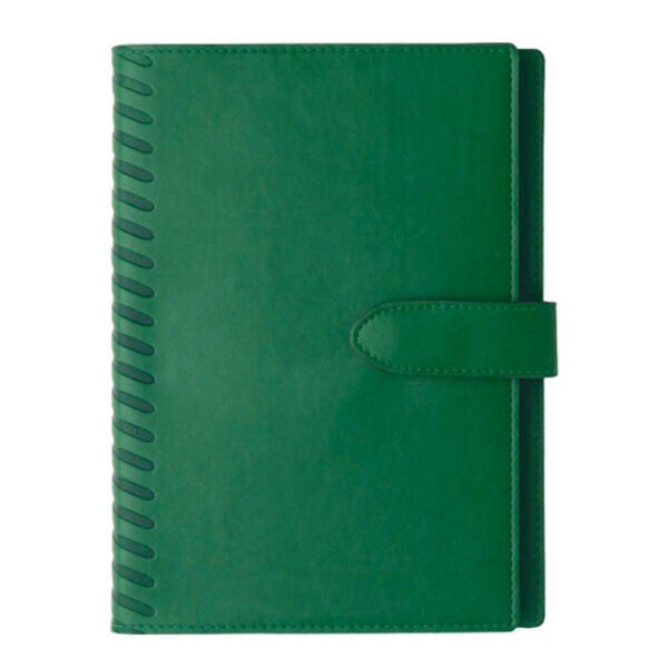 Agenda de lux Cometa Verde, 17 x 24 cm, datata zilnic 2022