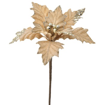 Craciunita crem-gold, 20CM Craciunita crem-gold, 20CM