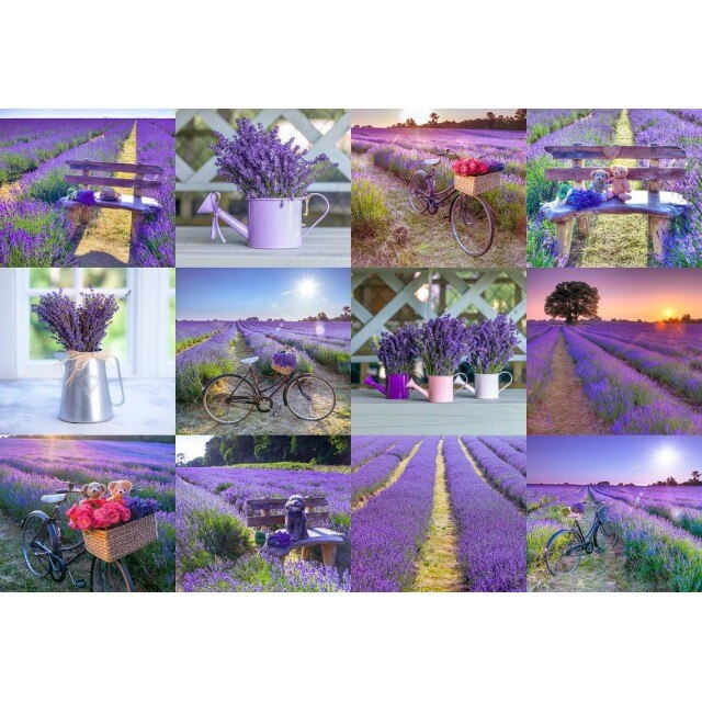 Puzzle Din Lemn LAVENDER FRANCE L, Wooden City, 300 piese