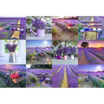 Puzzle Din Lemn LAVENDER FRANCE L, Wooden City, 300 piese Puzzle Din Lemn LAVENDER FRANCE L, Wooden City, 300 piese