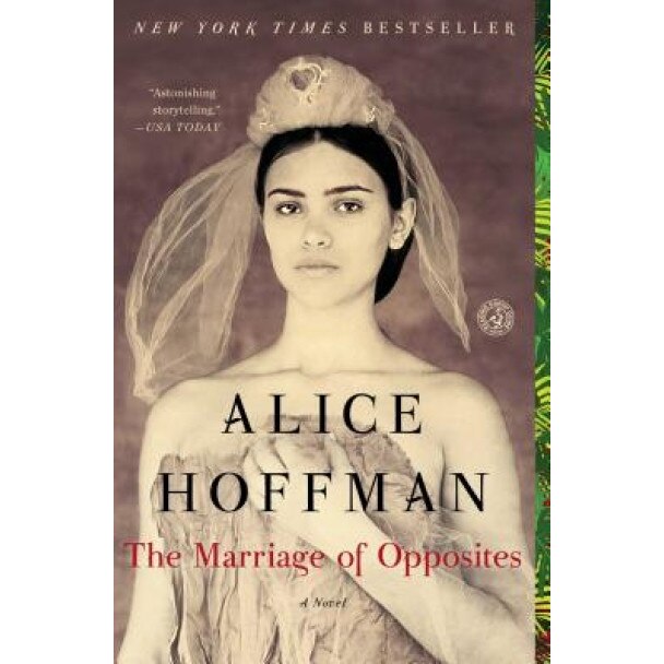 The Marriage of Opposites, Alice Hoffman (Author)