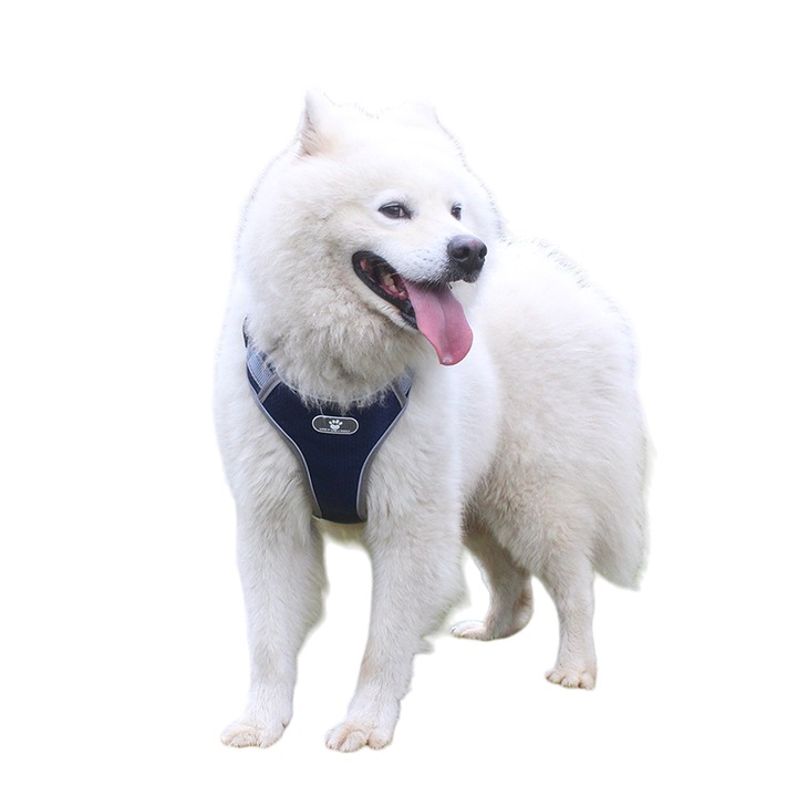 Ham si lesa Cool pentru caini, S, Bleumarin