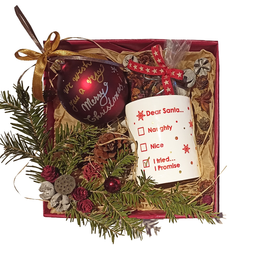 Set cadou pentru Craciun, cu 3 piese, Ambient Box, multicolor - Dear Santa, I tried!