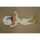 Decoratiune, Spiridus elf Mervin, 50 centimetri