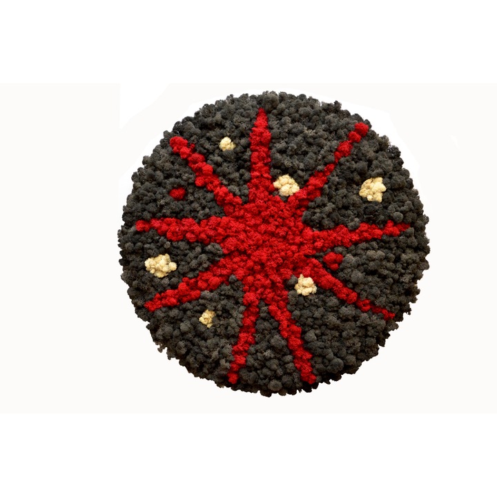 Tablou Steaua din adancuri, Tablou din licheni, diametru 65cm