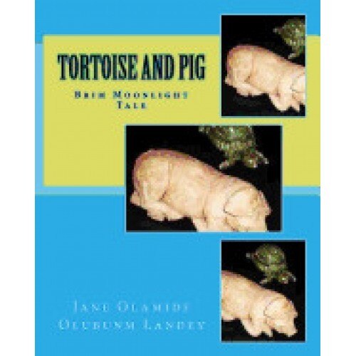 Tortoise and Pig: Brim Moon Light Tale