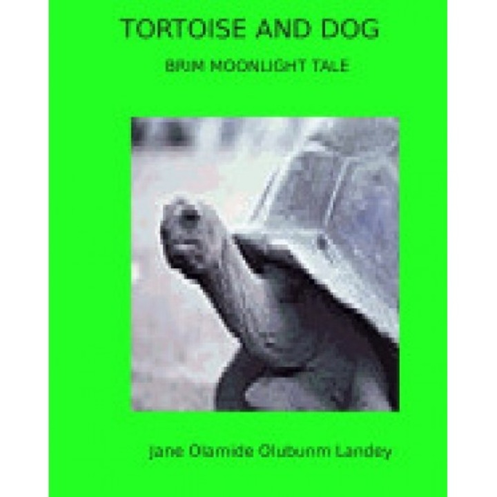 Tortoise and Dog: Brim Moon Light Tale