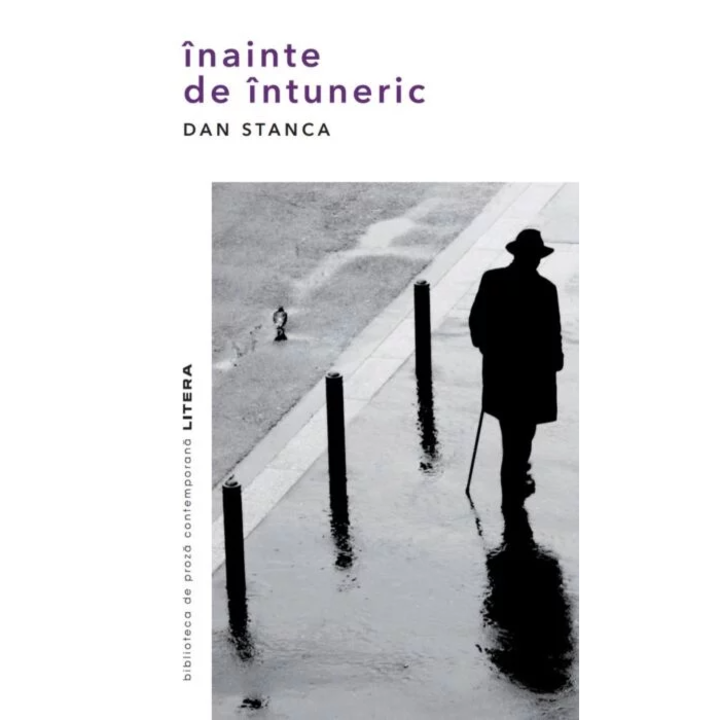 Inainte de intuneric, Dan Stanca