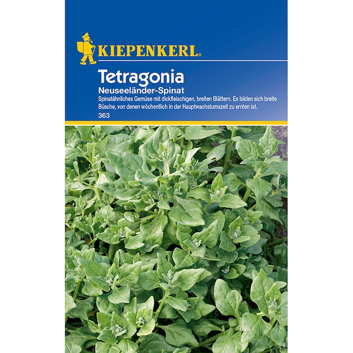 Seminte de spanac de Noua Zeelanda, 20 seminte