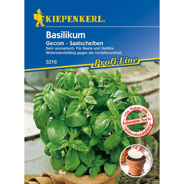 Seminte de busuioc Gecom, 5 discuri cu seminte