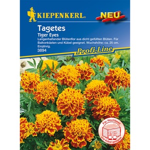 Bulbi, seminte si rasaduri