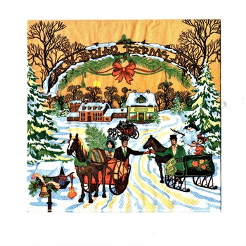 Set Servetele de Craciun Masa 20 buc Trasuri pe Drum Inzapezit 33x33 cm Set Servetele de Craciun Masa 20 buc Trasuri pe Drum Inzapezit 33x33 cm