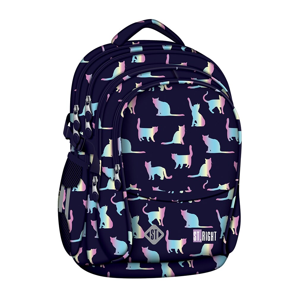 Ghiozdan St. Right, BP01, Colectia Holo Cats, 4 Compartimente, 17